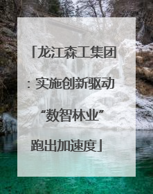 龙江森工集团：实施创新驱动 “数智林业”跑出加速度