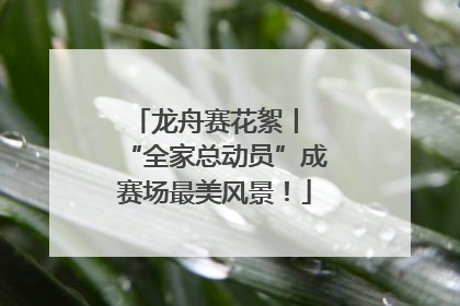 龙舟赛花絮丨 “全家总动员”成赛场最美风景！