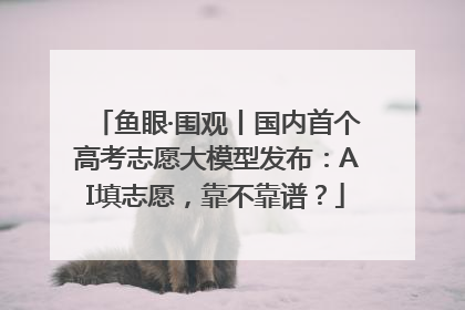 鱼眼·围观丨国内首个高考志愿大模型发布：AI填志愿，靠不靠谱？