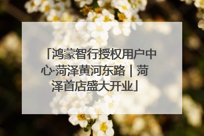 鸿蒙智行授权用户中心·菏泽黄河东路｜菏泽首店盛大开业