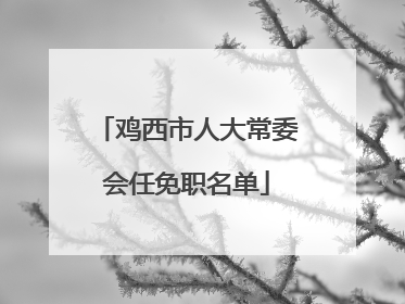 鸡西市人大常委会任免职名单