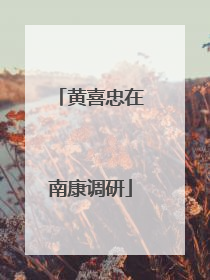 黄喜忠在南康调研
