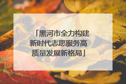 黑河市全力构建新时代志愿服务高质量发展新格局
