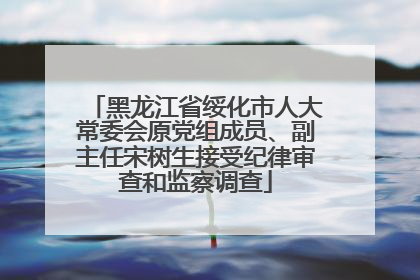 黑龙江省绥化市人大常委会原党组成员、副主任宋树生接受纪律审查和监察调查