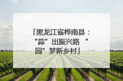 黑龙江省桦南县：“蒜”出振兴路 “园”梦新乡村