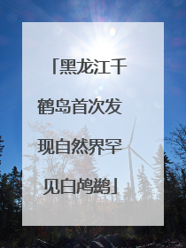 黑龙江千鹤岛首次发现自然界罕见白鸬鹚