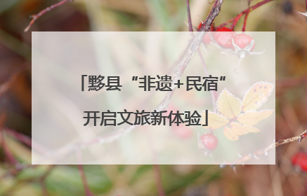黟县“非遗+民宿” 开启文旅新体验