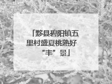 黟县碧阳镇五里村盛夏桃熟好“丰”景