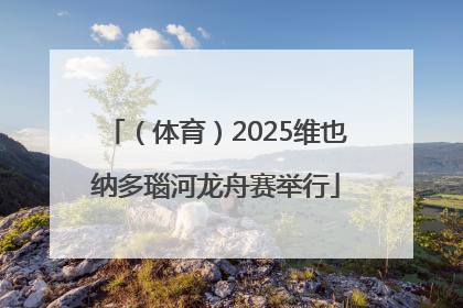 （体育）2025维也纳多瑙河龙舟赛举行