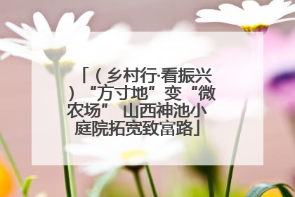 （乡村行·看振兴）“方寸地”变“微农场” 山西神池小庭院拓宽致富路