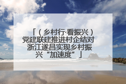 （乡村行·看振兴）党建联建推进村企结对 浙江遂昌实现乡村振兴“加速度”