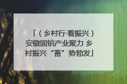 （乡村行·看振兴）安徽固镇产业聚力 乡村振兴“畜”势勃发