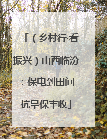 （乡村行·看振兴）山西临汾：保电到田间 抗旱保丰收