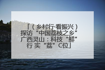 （乡村行·看振兴）探访“中国荔枝之乡”广西灵山：科技“鲜”行 实“荔”C位