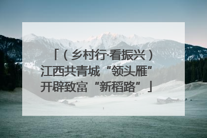 （乡村行·看振兴）江西共青城“领头雁”开辟致富“新稻路”