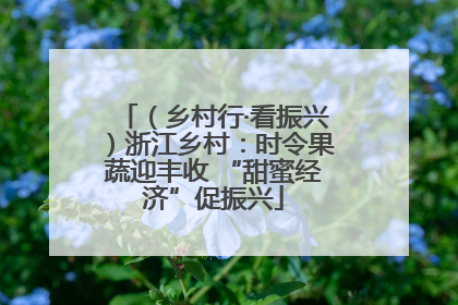 （乡村行·看振兴）浙江乡村：时令果蔬迎丰收 “甜蜜经济”促振兴