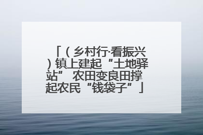 （乡村行·看振兴）镇上建起“土地驿站” 农田变良田撑起农民“钱袋子”