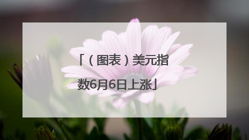 （图表）美元指数6月6日上涨