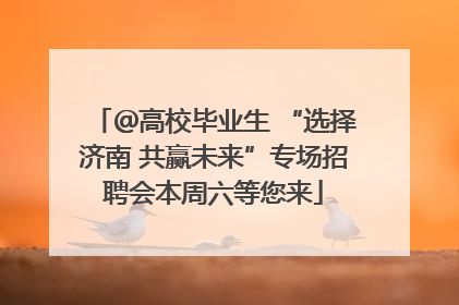 ＠高校毕业生 “选择济南 共赢未来”专场招聘会本周六等您来