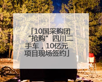 10国采购团“抢购”四川二手车，10亿元项目现场签约