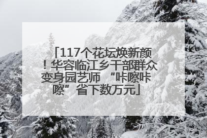 117个花坛焕新颜！华容临江乡干部群众变身园艺师 “咔嚓咔嚓”省下数万元