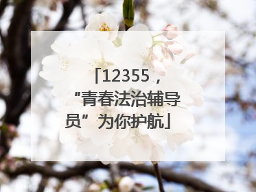 12355，“青春法治辅导员”为你护航