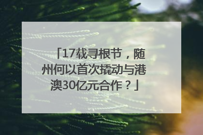 17载寻根节，随州何以首次撬动与港澳30亿元合作？