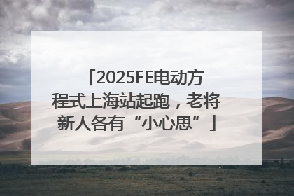 2025FE电动方程式上海站起跑，老将新人各有“小心思”