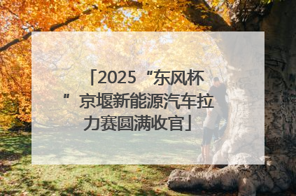 2025“东风杯”京堰新能源汽车拉力赛圆满收官