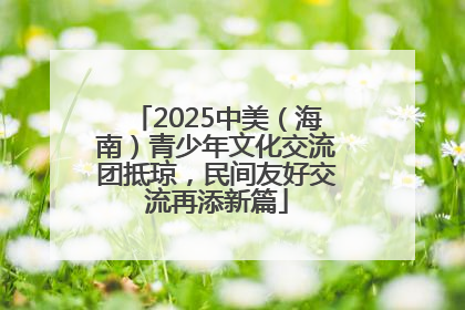 2025中美（海南）青少年文化交流团抵琼，民间友好交流再添新篇