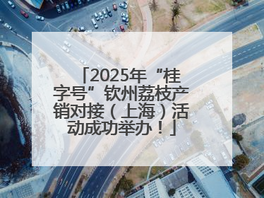 2025年“桂字号”钦州荔枝产销对接（上海）活动成功举办！