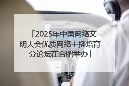 2025年中国网络文明大会优质网络主播培育分论坛在合肥举办