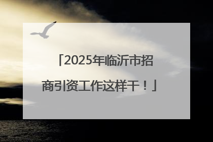 2025年临沂市招商引资工作这样干！