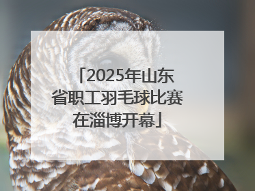 2025年山东省职工羽毛球比赛在淄博开幕