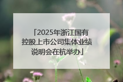 2025年浙江国有控股上市公司集体业绩说明会在杭举办