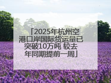 2025年杭州空港口岸国际货运量已突破10万吨 较去年同期提前一周