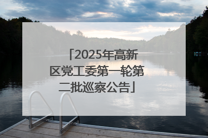 2025年高新区党工委第一轮第二批巡察公告