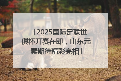 2025国际足联世俱杯开赛在即，山东元素期待精彩亮相