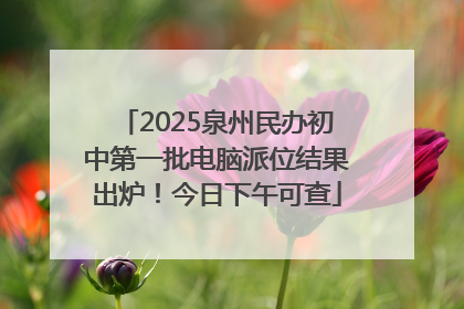 2025泉州民办初中第一批电脑派位结果出炉！今日下午可查