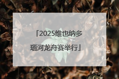 2025维也纳多瑙河龙舟赛举行