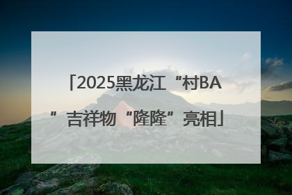 2025黑龙江“村BA”吉祥物“隆隆”亮相