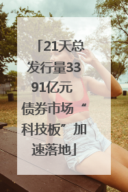 21天总发行量3391亿元 债券市场“科技板”加速落地