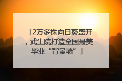 2万多株向日葵盛开，武生院打造全国最美毕业“背景墙”