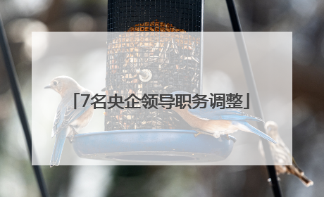 7名央企领导职务调整