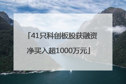 41只科创板股获融资净买入超1000万元