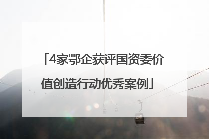 4家鄂企获评国资委价值创造行动优秀案例