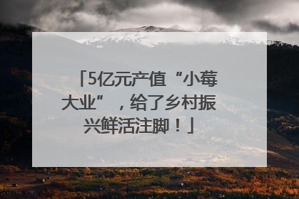 5亿元产值“小莓大业”，给了乡村振兴鲜活注脚！