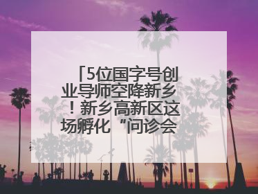 5位国字号创业导师空降新乡！新乡高新区这场孵化“问诊会”干货满满