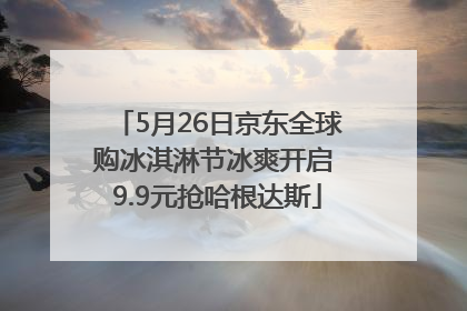 5月26日京东全球购冰淇淋节冰爽开启 9.9元抢哈根达斯