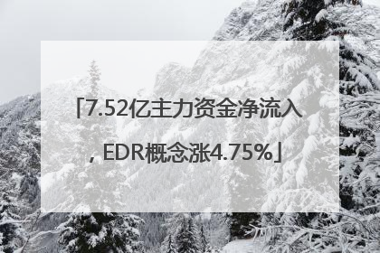7.52亿主力资金净流入，EDR概念涨4.75%
